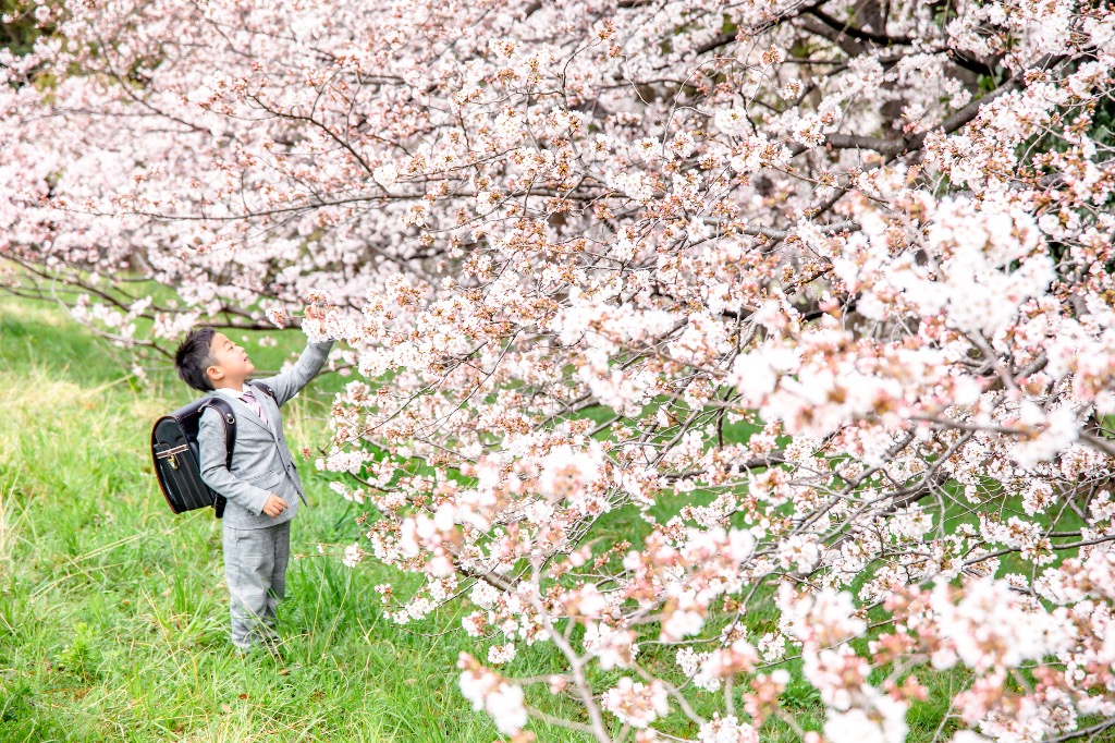 記念日特別撮影プラン